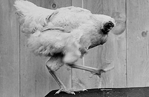 點(diǎn)擊瀏覽下一頁