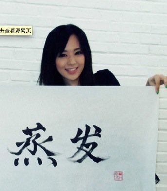 中國(guó)公關(guān)人升職進(jìn)階指南2013版