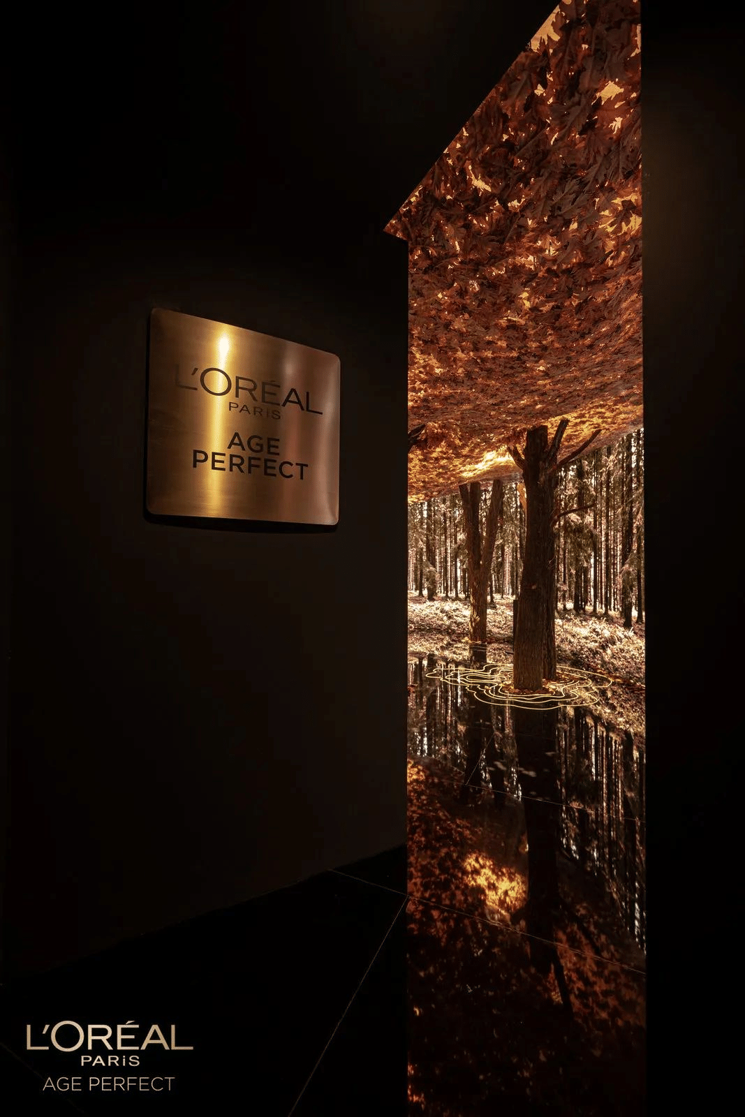 歐萊雅「金致松露系列·生息光影藝術展」