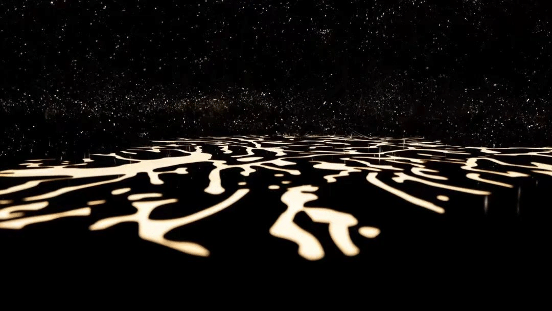 歐萊雅「金致松露系列·生息光影藝術展」