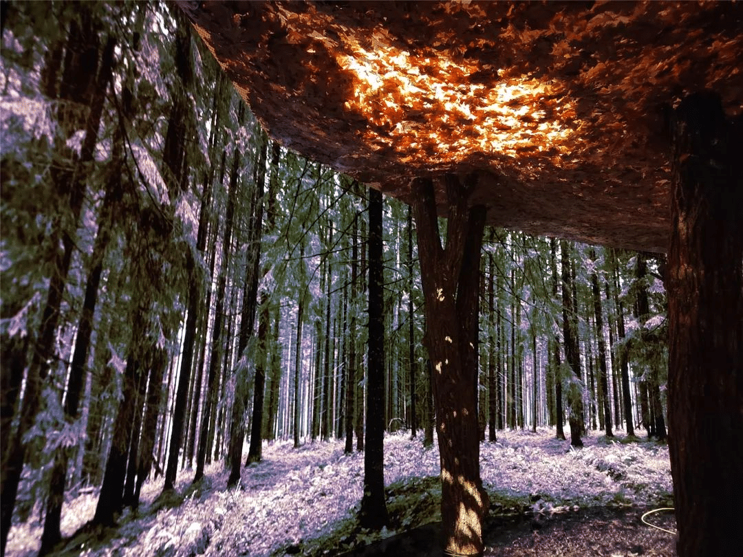 歐萊雅「金致松露系列·生息光影藝術展」